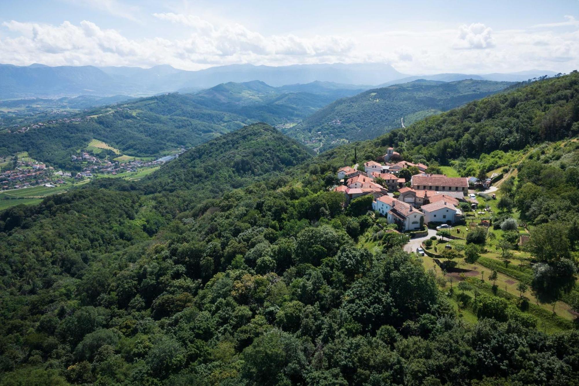Villa Artes With Free Hot Tub & Sauna Branik Kültér fotó